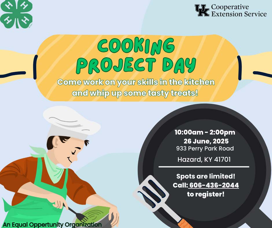 Cooking Project Day