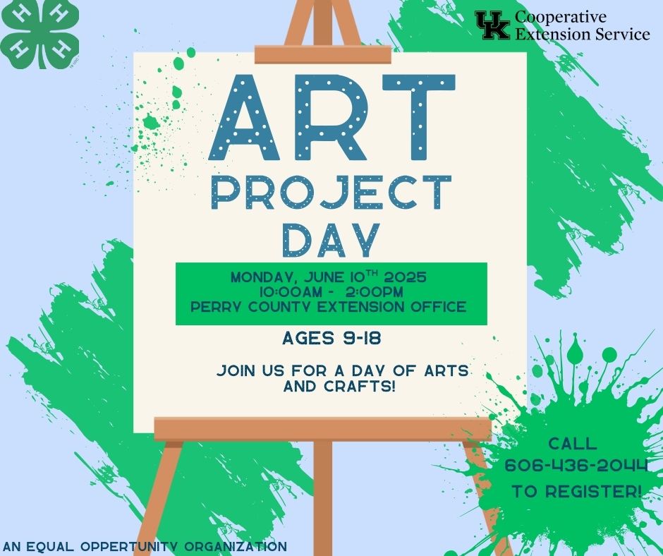 Art Project Day